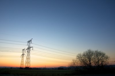 Branches branchées_5551786537_l.jpg